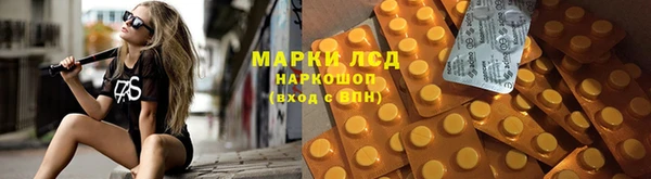 крисы Алексин