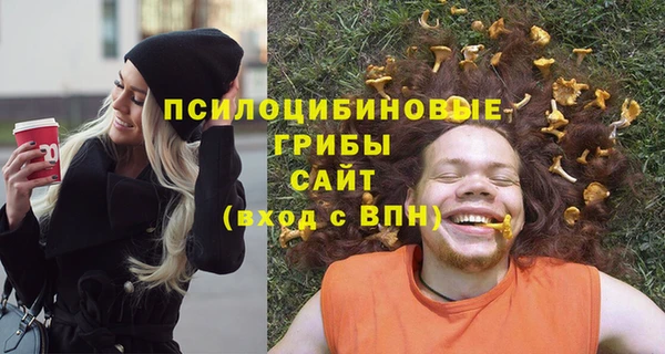 крисы Алексин