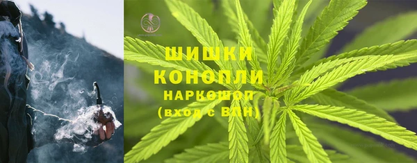ПСИЛОЦИБИНОВЫЕ ГРИБЫ Алексеевка