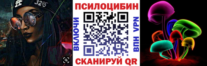 где продают   Суджа  Галлюциногенные грибы MAGIC MUSHROOMS 